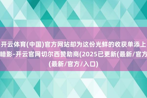 开云体育(中国)官方网站却为这份光鲜的收获单添上了一抹暗影-开云官网切尔西赞助商(2025已更新(最新/官方/入口)