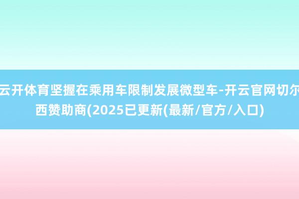 云开体育坚握在乘用车限制发展微型车-开云官网切尔西赞助商(2025已更新(最新/官方/入口)