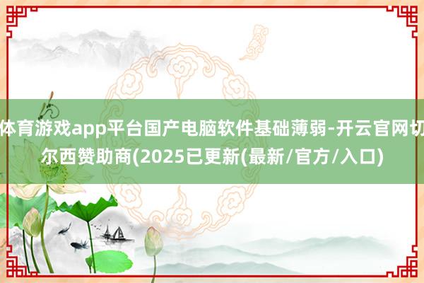 体育游戏app平台国产电脑软件基础薄弱-开云官网切尔西赞助商(2025已更新(最新/官方/入口)