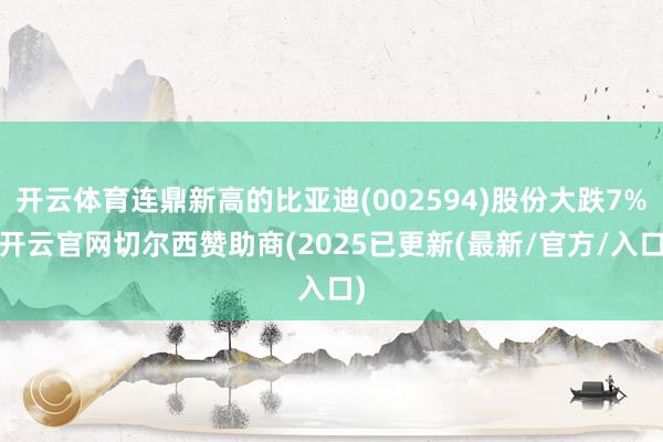 开云体育连鼎新高的比亚迪(002594)股份大跌7%-开云官网切尔西赞助商(2025已更新(最新/官方/入口)