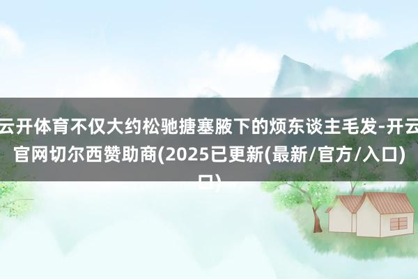 云开体育不仅大约松驰搪塞腋下的烦东谈主毛发-开云官网切尔西赞助商(2025已更新(最新/官方/入口)