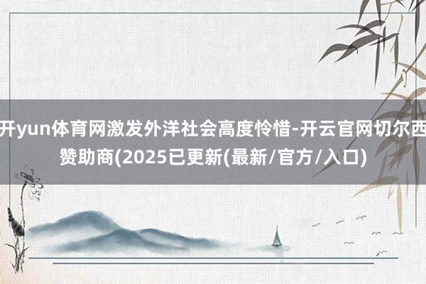 开yun体育网激发外洋社会高度怜惜-开云官网切尔西赞助商(2025已更新(最新/官方/入口)
