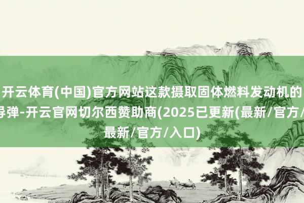 开云体育(中国)官方网站这款摄取固体燃料发动机的新式导弹-开云官网切尔西赞助商(2025已更新(最新/官方/入口)