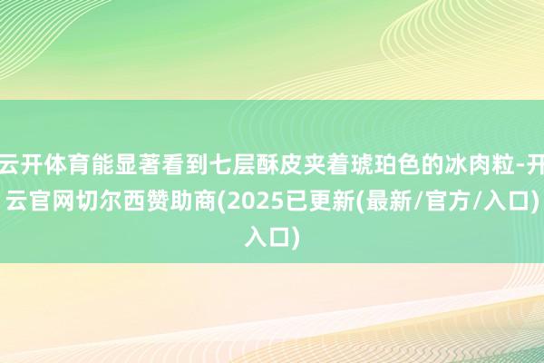云开体育能显著看到七层酥皮夹着琥珀色的冰肉粒-开云官网切尔西赞助商(2025已更新(最新/官方/入口)